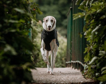 Manteau d'hiver imperméable noir pour whippets, lévriers et autres chiens