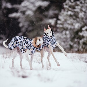 Waterproof winter coat for whippets, sighthounds and other dogs image 3