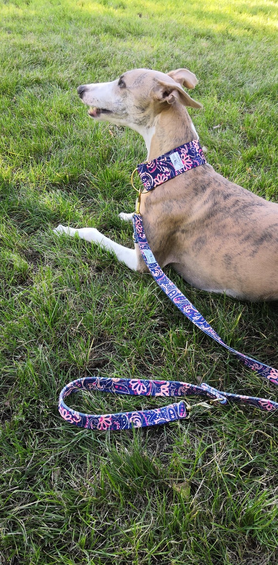 etsy whippet collar