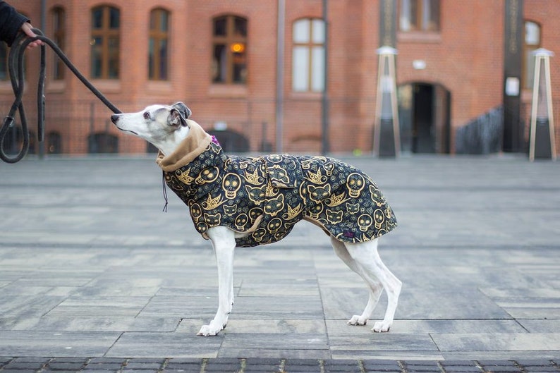 Manteau d'hiver imperméable pour whippets, lévriers et autres chiens image 1