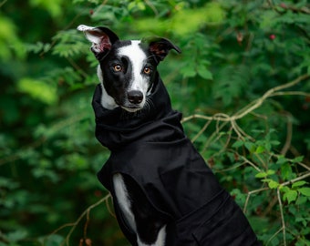 Waterproof raincoat for whippets, sighthounds and other dogs