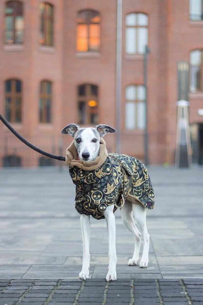 Manteau d'hiver imperméable pour whippets, lévriers et autres chiens image 2