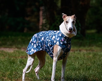 Waterproof winter coat for whippets, sighthounds and other dogs