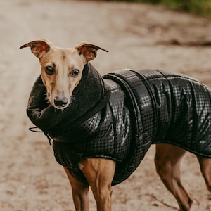 Houndstooth pattern warm, waterproof winter coat for whippets, sighthounds and other dogs