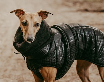 Houndstooth pattern warm, waterproof winter coat for whippets, sighthounds and other dogs