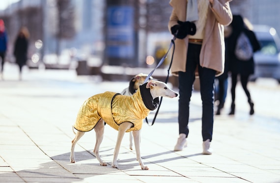 Abrigo de invierno cálido impermeable de patente de oro para España
