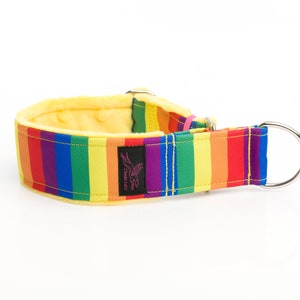 Beautiful & sturdy collar for whippets, sighthounds and other dogs