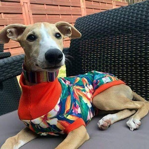 Stylish elastic waistcoat/sweatshirt for whippets, Italian greyhounds, greyhounds and other dogs