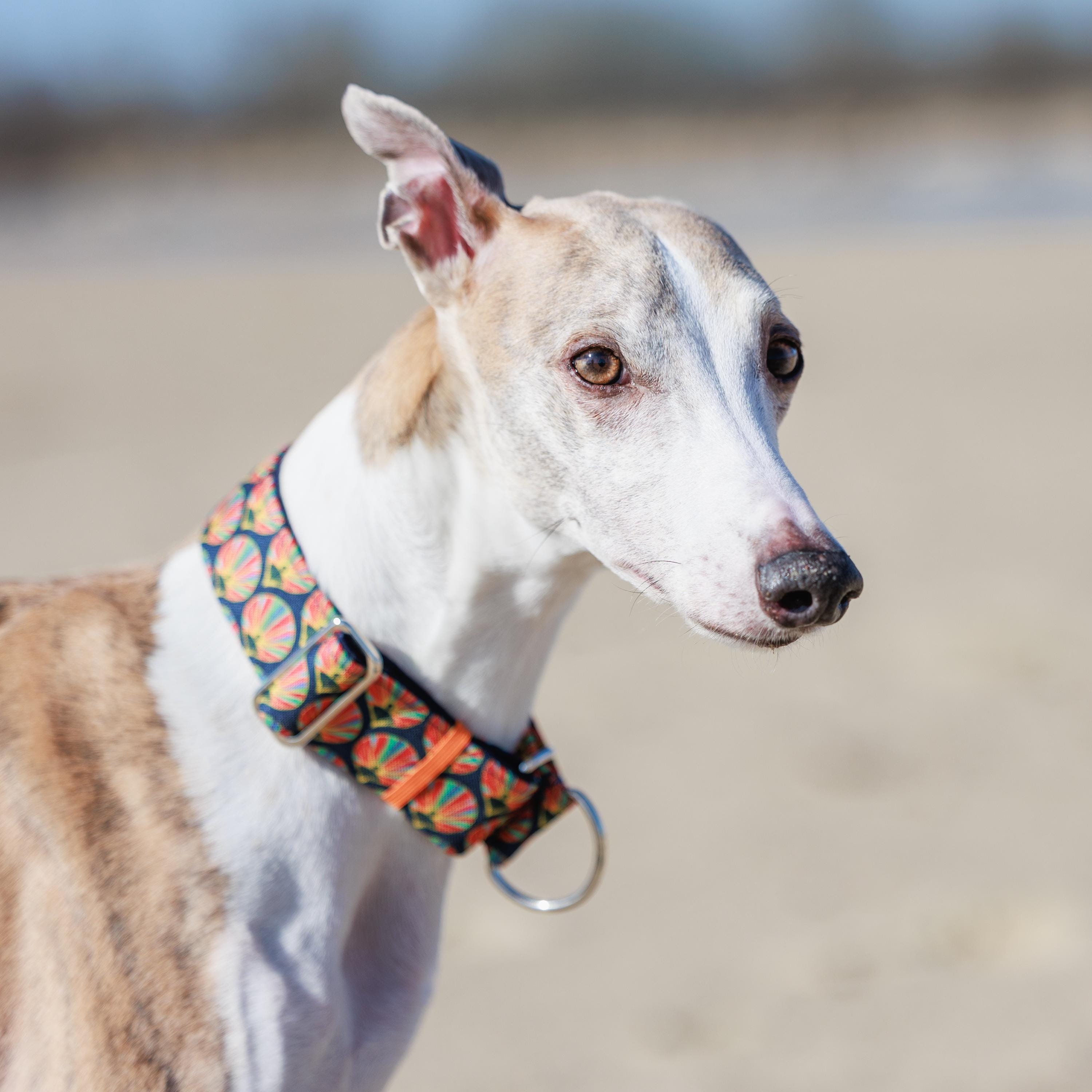 ウィペット、サイトハウンド、その他の犬用の美しく丈夫な首輪 - Etsy 日本