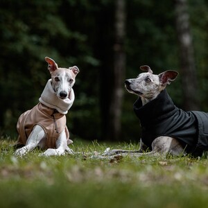 Manteau d'hiver imperméable noir pour whippets, lévriers et autres chiens image 9