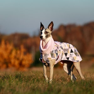 Waterproof winter coat for whippets, sighthounds and other dogs image 2