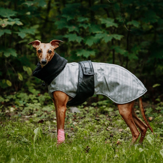 Whippet dog coats cheap