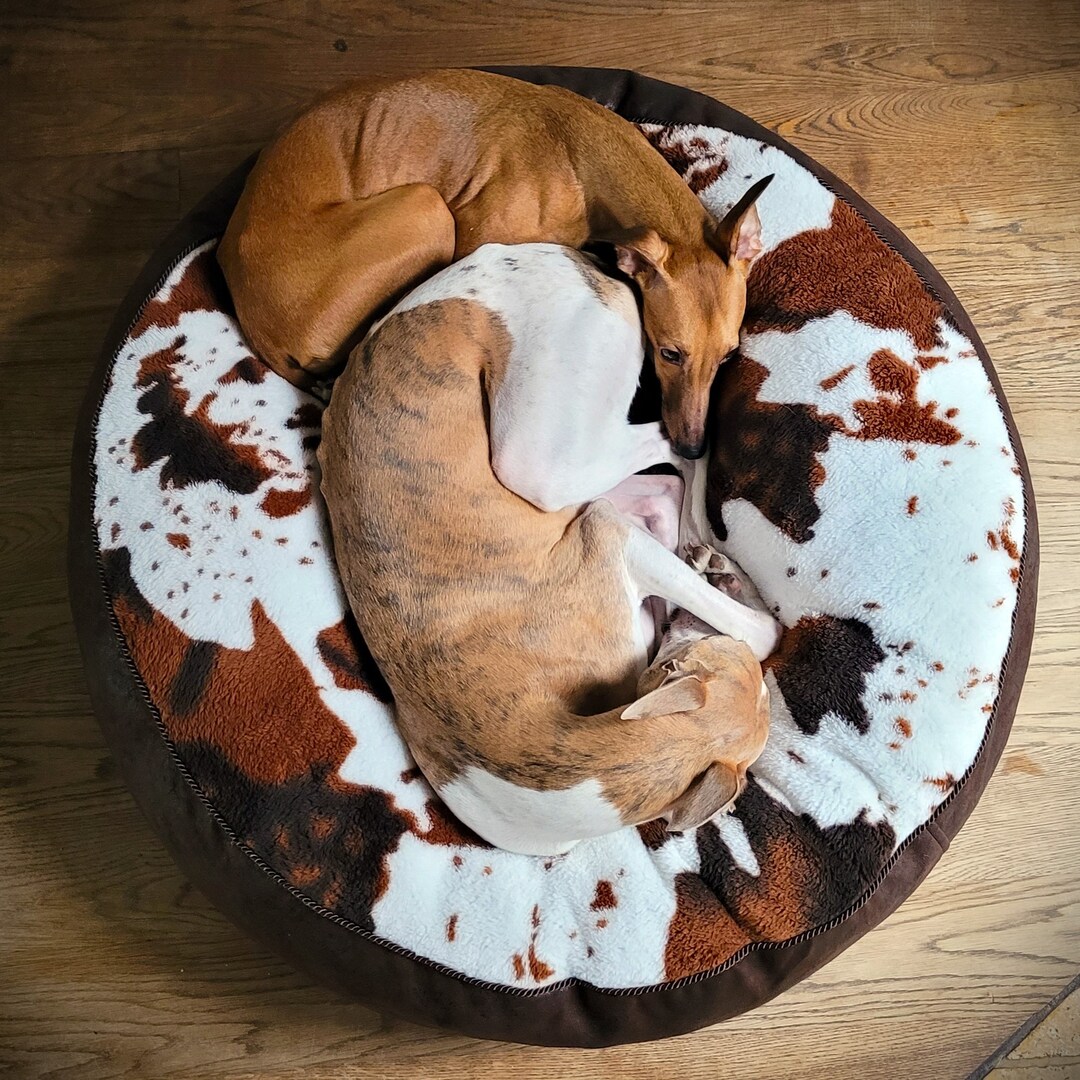 Cozy Cloud Dog Bed in Beige main image 1