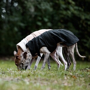 Manteau d'hiver imperméable noir pour whippets, lévriers et autres chiens image 4