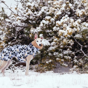 Waterproof winter coat for whippets, sighthounds and other dogs image 5