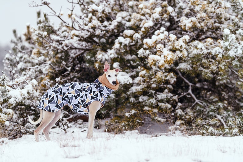 Waterproof winter coat for whippets, sighthounds and other dogs image 5
