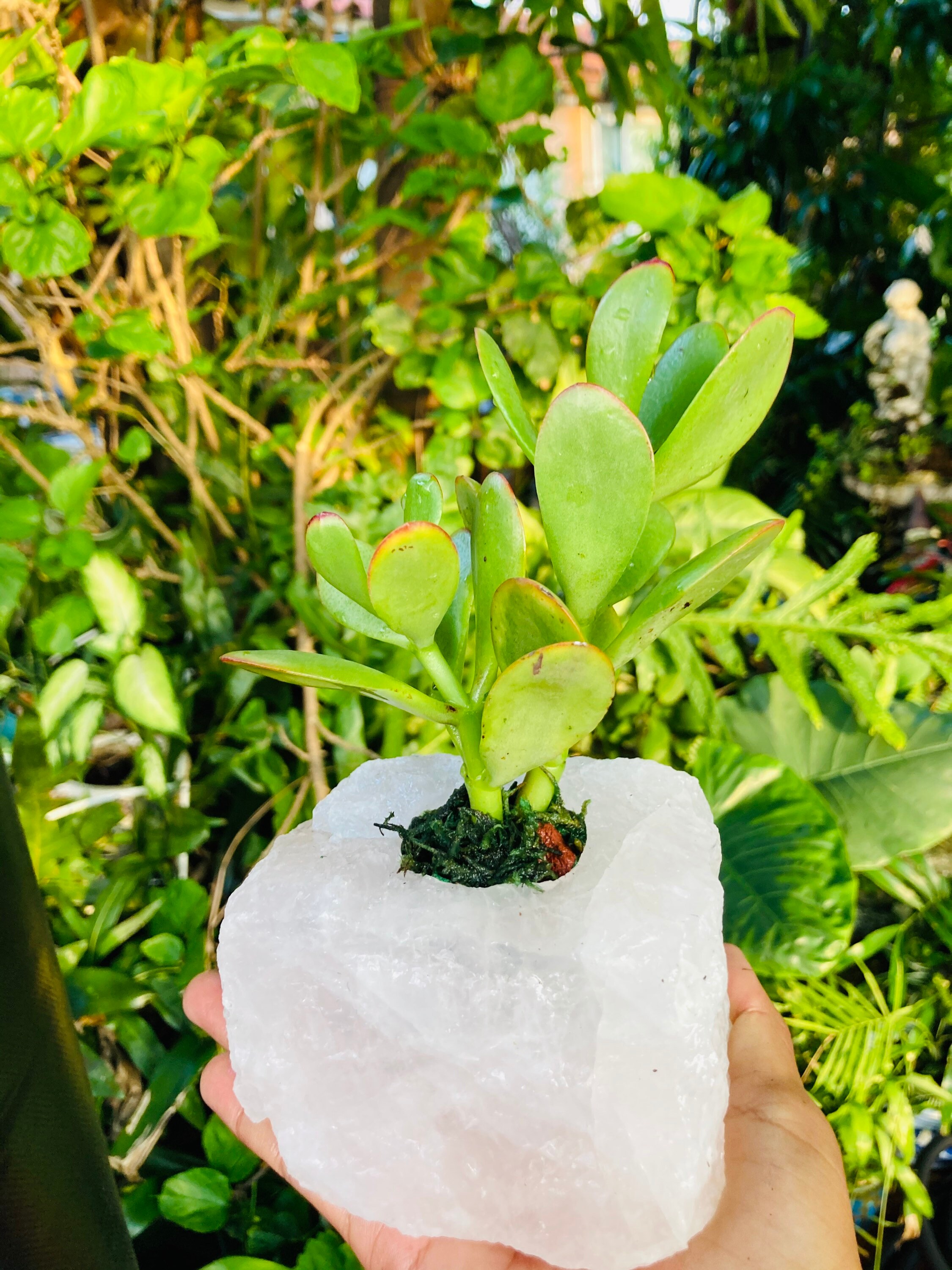 Jade in Rose Quartz | Etsy