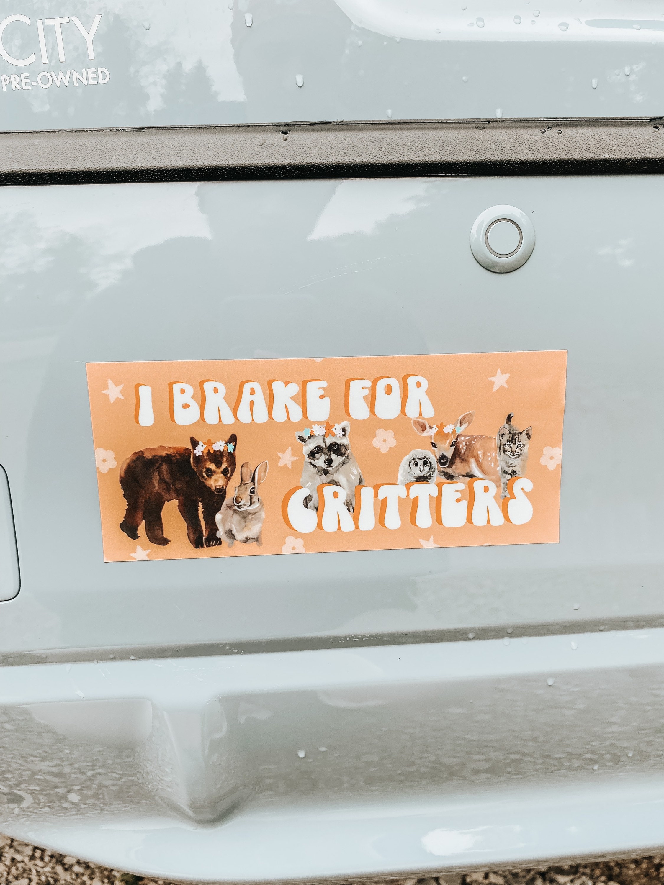 I Brake for Critters Car Bumper Sticker Animal Lover Car - Etsy
