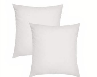 40x40 cushion insert