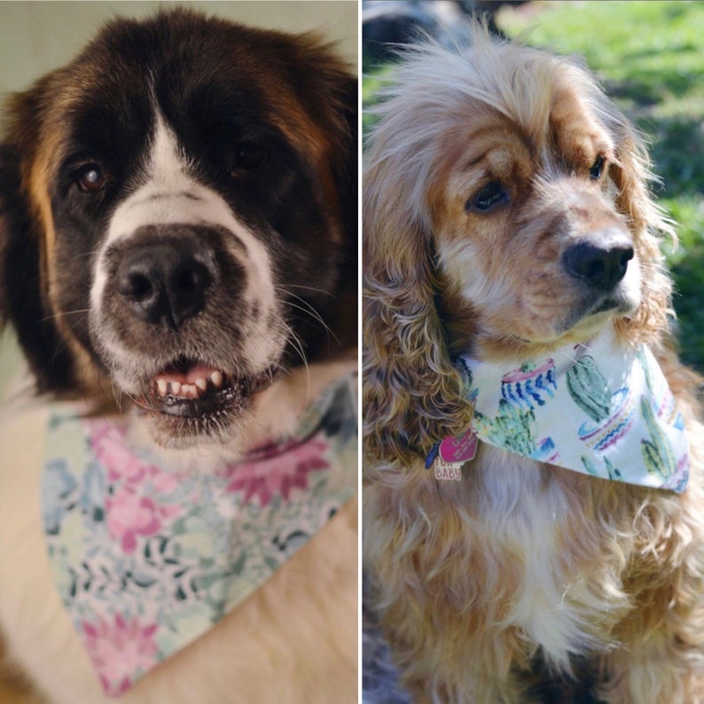 Cactus Dog Bandanas/ Succulent Dog Bandana/ Over the Collar Dog Bandana ...
