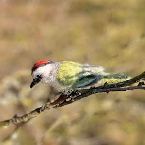 Könnte beinhalten: Ein kleiner, mit Nadelfilz gefertigter Vogel mit roter Krone, grünem und grauem Körper und schwarzen Augen, der auf einem Ast sitzt.