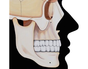 May include: A side profile illustration of a human skull with teeth, painted in a realistic style on a black background.