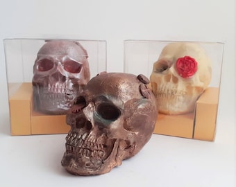 May include: Three skull-shaped objects. One is metallic bronze with small gear accents, positioned in front. Two others are enclosed in clear plastic boxes with tan bases: one is a dark metallic brown, and one is off-white with a red rose.