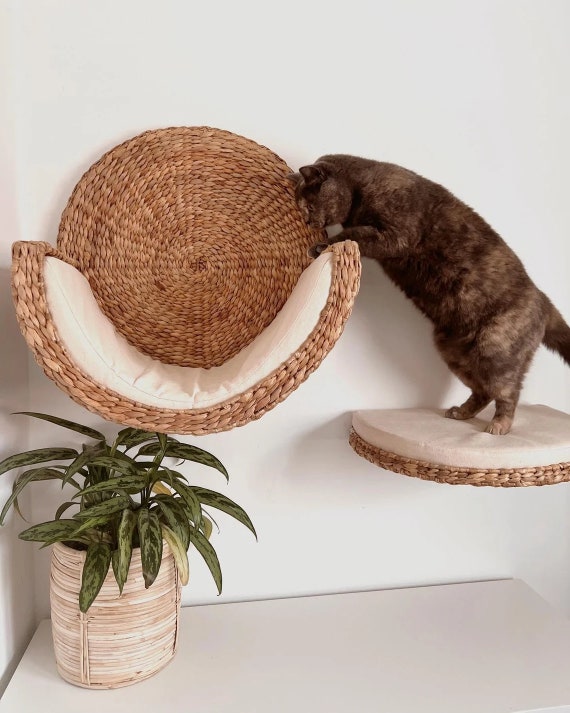 Set of 2 Cat Activity Wall Shelves Cat Furniture Modern Etsy