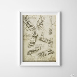 Da Vinci Anatomy Feet Bones Print Retro Poster, Wall Decor, Human Muscles, Medical Painting #667