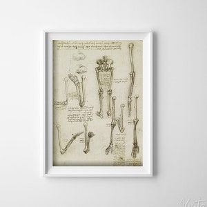 Da Vinci Anatomical Print Bones Retro Poster, Retro Wall Decoration, Human Anatomy Print, Medical Painting #652