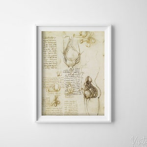 Da Vinci Anatomy Print The Male And Female Reproductive Systems Retro Poster, Retro Wall Decoration, Skeleton Poster #651