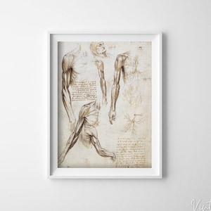 Puede incluir: Un dibujo anatómico vintage de un brazo y un hombro humanos, con estructura muscular detallada y notas escritas a mano en tonos sepia.