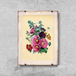 Vintage Botanical Print Mushrooms Science Champignons Vintage Poster with Frames Flowers Print Vintage Wall Art Sketched Flowers #675