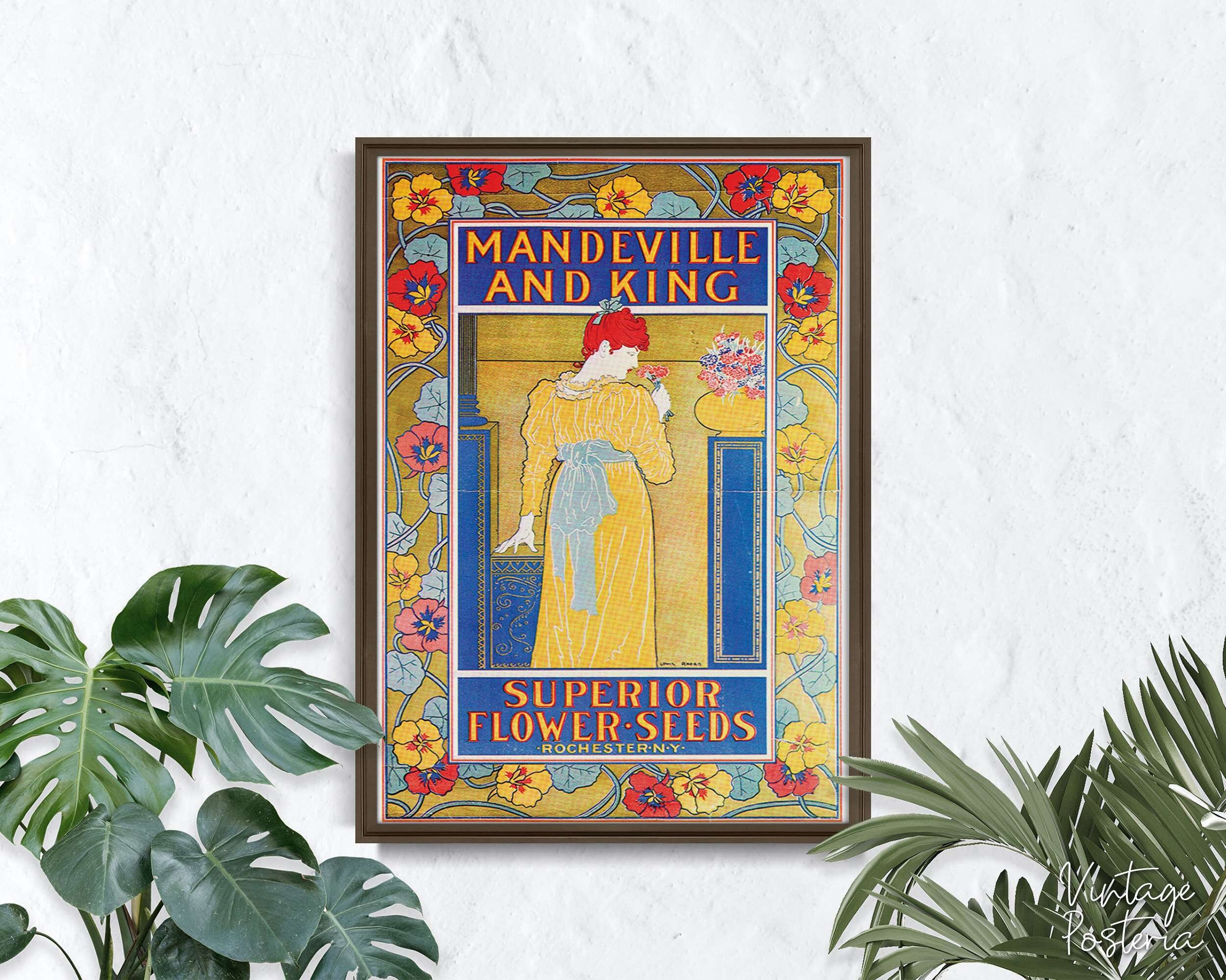 Mandeville and King Superior Flower Seeds Retro Poster Woman