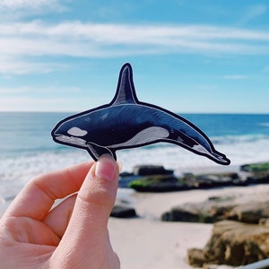 Killer Whale Sticker