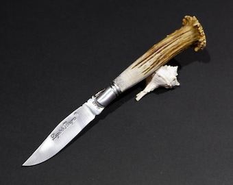 May include: A silver pocket knife with a stag horn handle. The blade is open and the knife is lying on a black surface with a seashell next to it. The blade is engraved with the words "Laguiole Forge."
