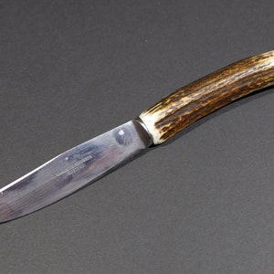 vintage Kitchen Butcher Knife letter opener Hunting knife antler deer Solingen