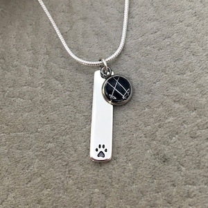 Sterling Paw Print and Whisker Charm