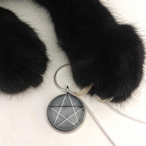 Pentagram Whisker Pendant, Whisker Jewelry image 1