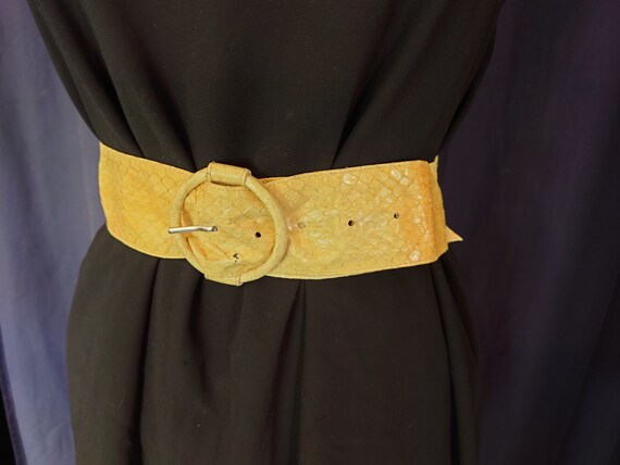 70s Vintage Snakeskin Belt Cream - Etsy display picture 2