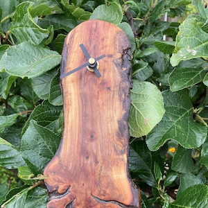 May include: A wooden clock with black hands and a brass centre, mounted on a natural wood slab with a unique, irregular shape and a rich brown colour.