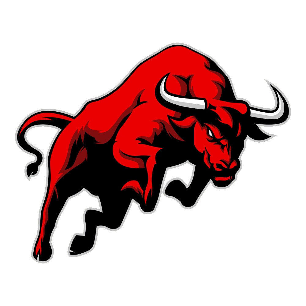 Bull Car Sticker Vinyl Decals Labels Fuel Bumper Etsy