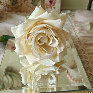 May include: A cream-coloured rose with multiple layers of petals, reflected in a mirrored surface. The rose is the focal point, with its soft texture and subtle colour variations. The image evokes a sense of vintage elegance.