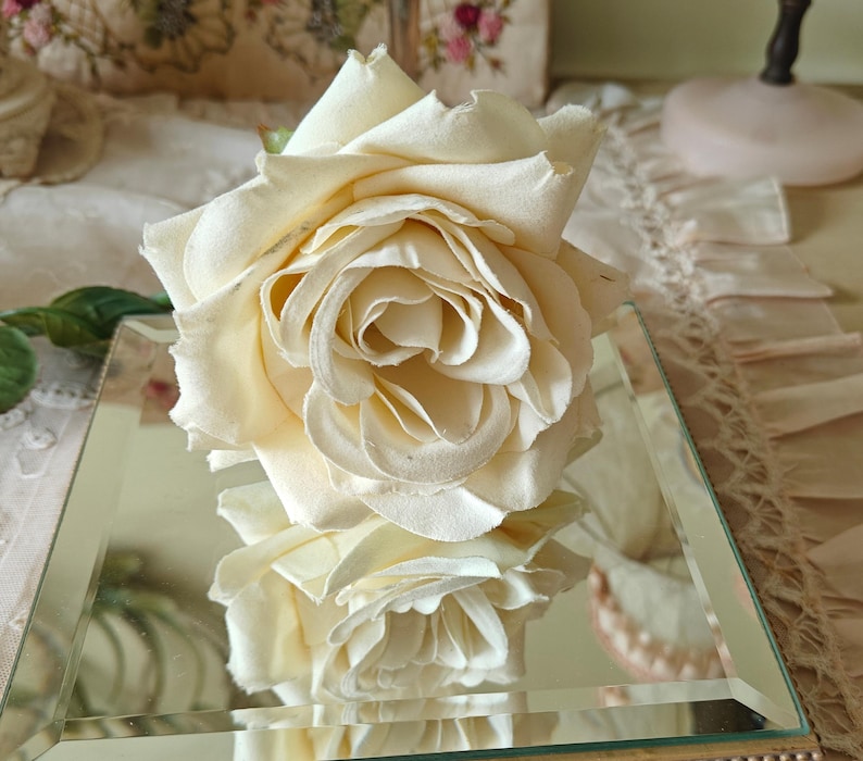 Large Modern Single CREAM CABBAGE ROSE Rolled Petals Green Leaves ...