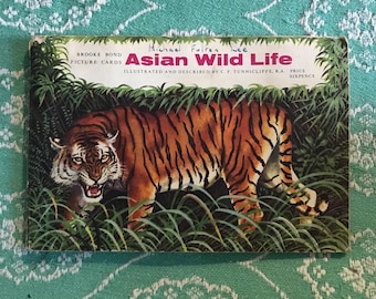 Brooke Bond Picture Cards. Asian Wildlife. Cigarette card. Animals. Asia. Tiger.  animal illustration.