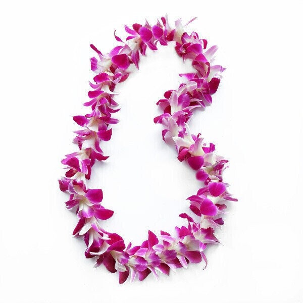 Hawaiian Lei - Fresh Purple Orchid Lei, Real Flower Lei, Shipped Fresh & From Hawaii. Graduation Lei - Wedding Lei