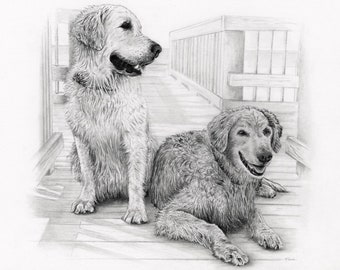 Custom Dog Sketch