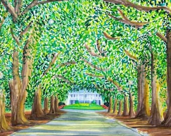 May include: Watercolor painting of a tree-lined road leading to a white house. The trees have lush green foliage, creating a canopy over the road. The road is light gray, and the sky is not visible.