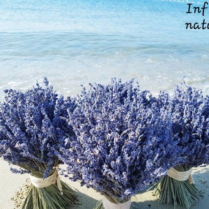 Bouquet of dried lavender from Provence with organic lavender, created to order by an artisan florist from Var France