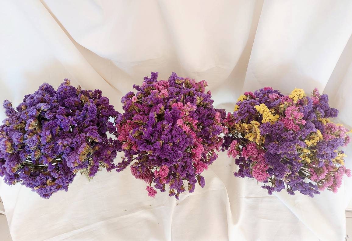 Bouquet de Fleurs Séchées Statice/ Bouquet Sec France